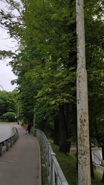 пр. Мира. Ресторан Геркулес. Калининград смотреть онлайн