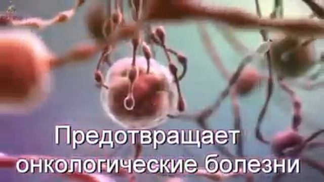 Натуральный продукт ЛИМОН смотреть онлайн