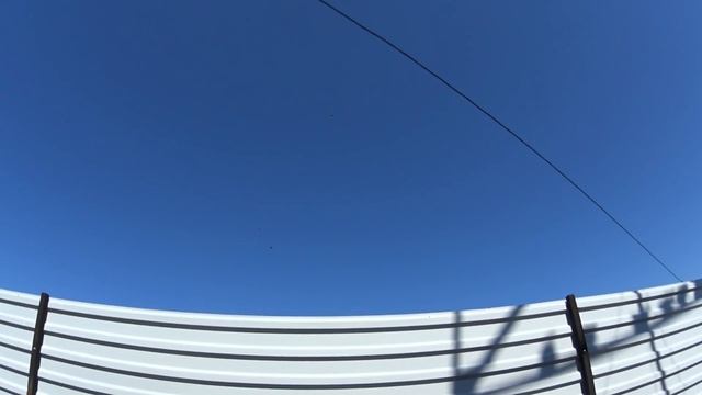 Первый подъем молодых голубей в этом году и голуби космонавты смотреть онлайн