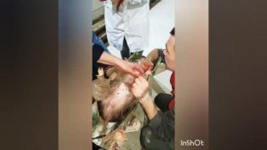 Биркование и кастрация поросят