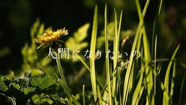 四六時 優 - 人間になりたいの feat.IA смотреть онлайн