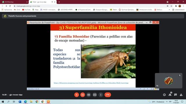 Clase diez de Taxonomía смотреть онлайн