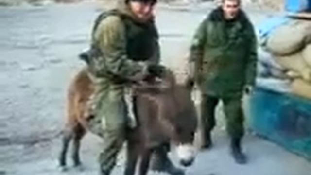 ОСЕЛ 16 смотреть онлайн