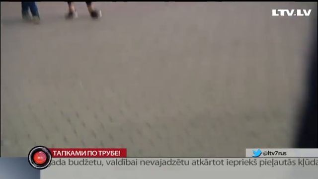 Тапками по трубе! смотреть онлайн