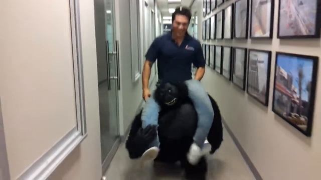 Joey' s gorilla costume смотреть онлайн