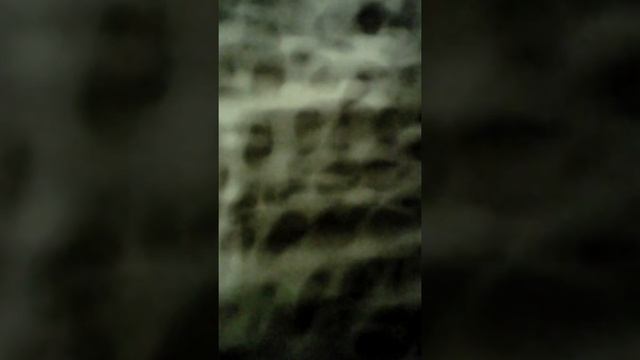 Домик беби борн смотреть онлайн
