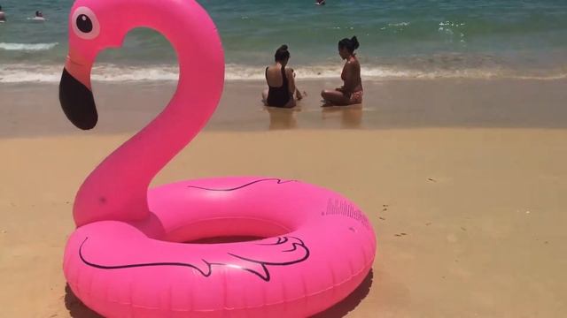 Flamingo in Phuket смотреть онлайн