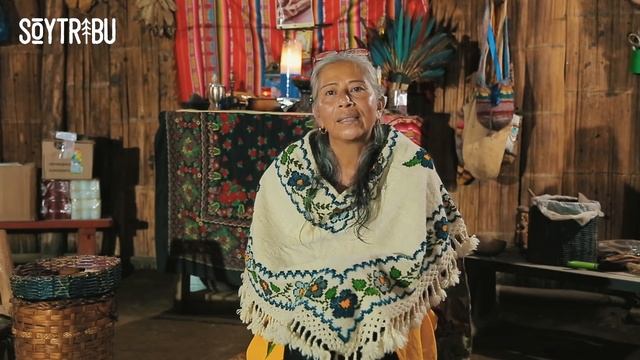 LA TRIBU UMBRA | Abuela Amtokatlnesli смотреть онлайн