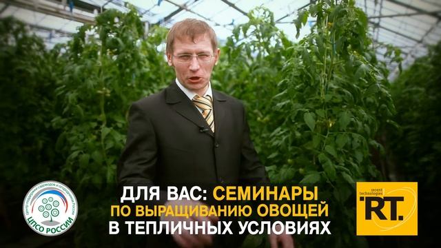 "Семинар" RTi смотреть онлайн