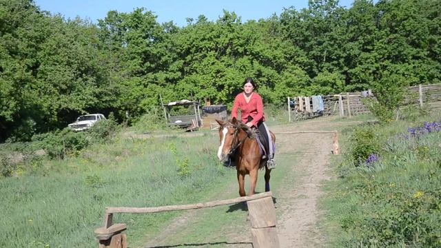 Аня,Рута и барьерчики 2 смотреть онлайн