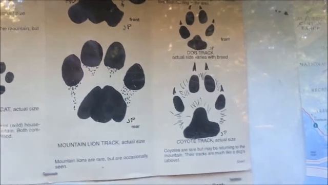 55 Redwood part 4 смотреть онлайн