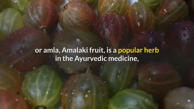 1 in 5 people unknowingly have fatty liver disease смотреть онлайн