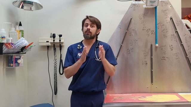 Does Benadryl Work? смотреть онлайн