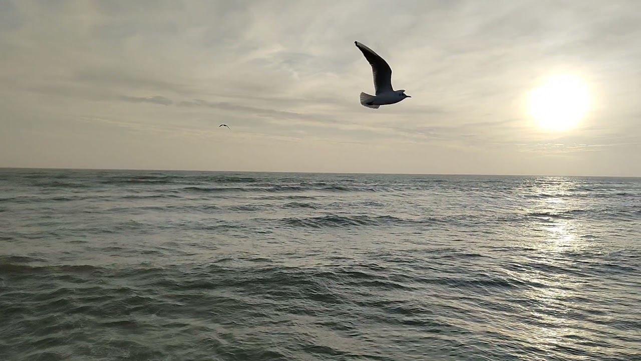 060122 Евпаторийское море смотреть онлайн