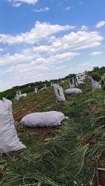 💸💵 смотреть хорошо робота 👍🤟🤟🤟🙏🙏😎😎🔥🔥🔥🔥🔥👣👣👣👣👣🤬🤬 смотреть онлайн