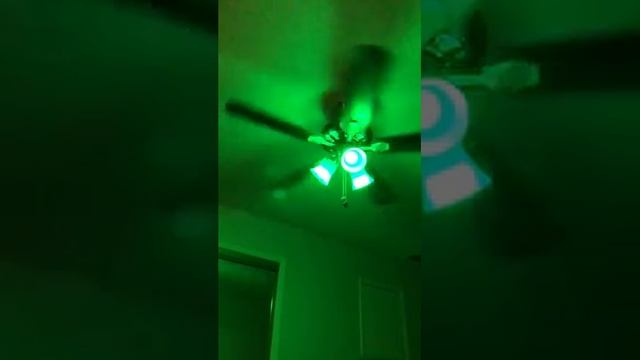 Peteme Smart WiFi Alexa Light Bulb, Led RGB Color Changing Bulbs, Compatible with Alexa, Siri, Echo смотреть онлайн
