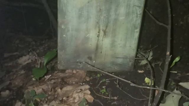 Рои.Находка в лесу смотреть онлайн