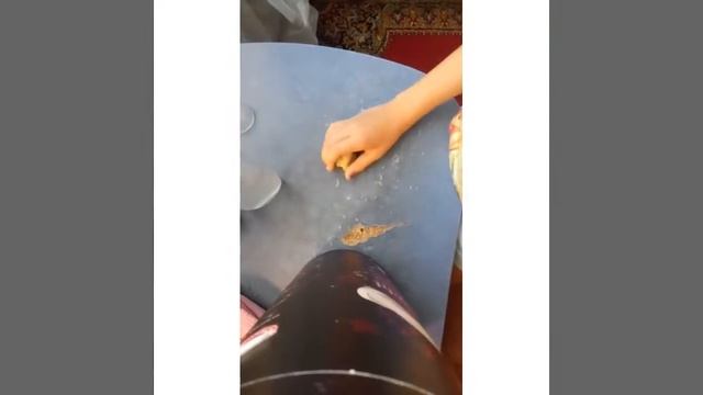 Изменяю покупные слаймы на нормальные👍 смотреть онлайн