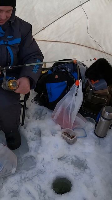 ТРЕСКУ НА ЗИМНЮЮ УДОЧКУ смотреть онлайн