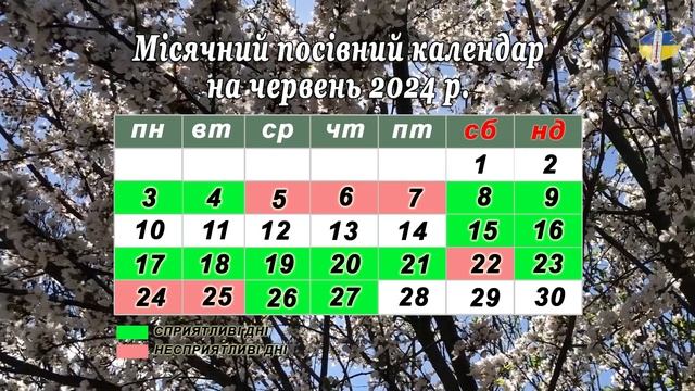 Що та коли садити для гарного врожаю. посівний календар на червень 2024 смотреть онлайн