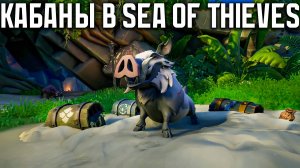 Sea of Thieves в Battle Net, 3-я часть 15 СЕЗОНА, кабаны и охота за МЕГАМИ!