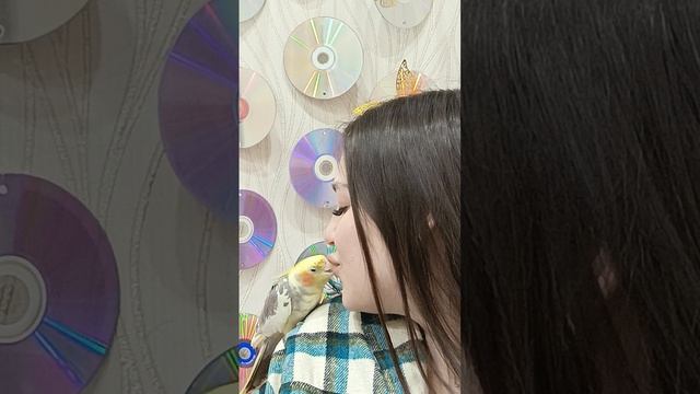 Попугай 🦜 Кеша