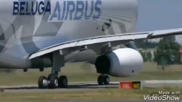 Beluga XL смотреть онлайн