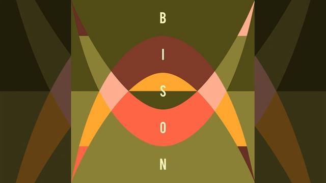 Bison - New Moon Boy (Night) смотреть онлайн