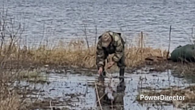 На обед горелое сало...Наша добыча ✌️