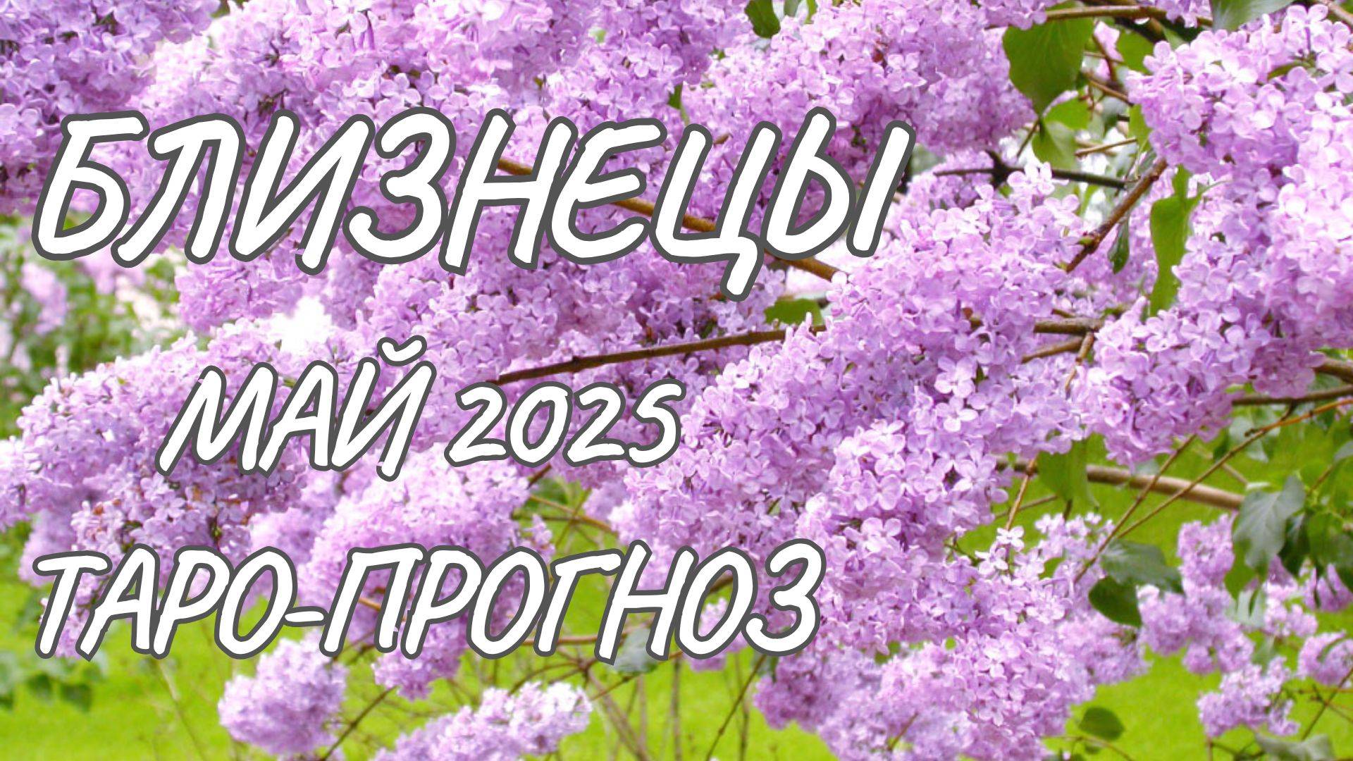 Близнецы ♊ Таро-прогноз на май 2025 года смотреть онлайн
