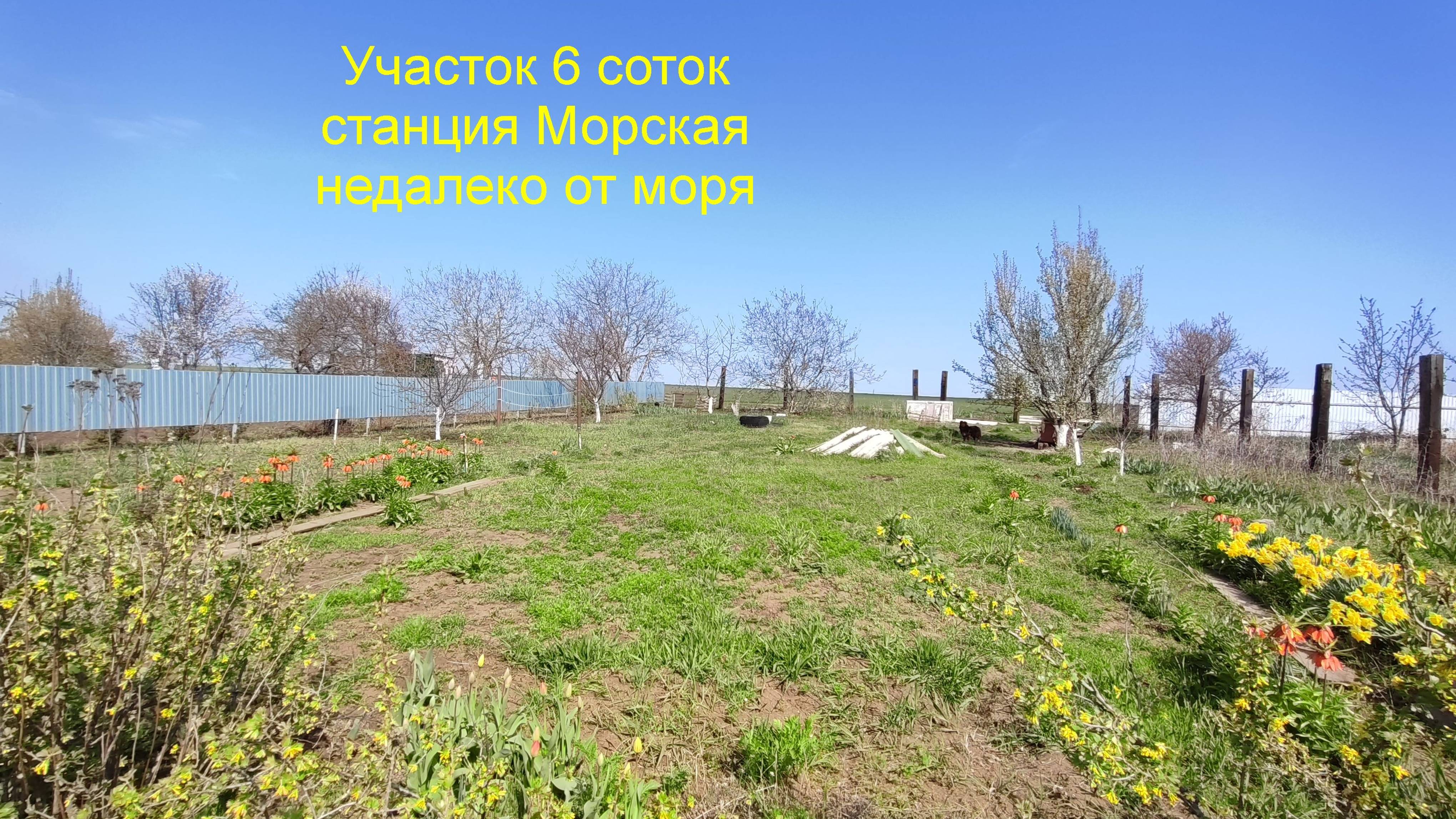 Участок 6 соток недалеко от моря смотреть онлайн