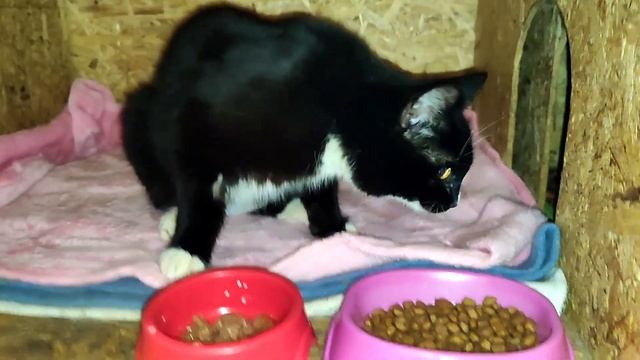 Во время плановой стерилизации оказалось что Зоя беременна смотреть онлайн