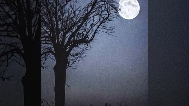 $kopa - MJESECINA [2023] смотреть онлайн