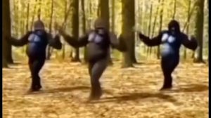 крестики😆нолики🤣две🤣миланы😀в😋домике🤗