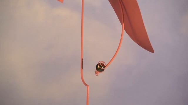 Flamingo Bobble Stakes-Wind & Weather смотреть онлайн