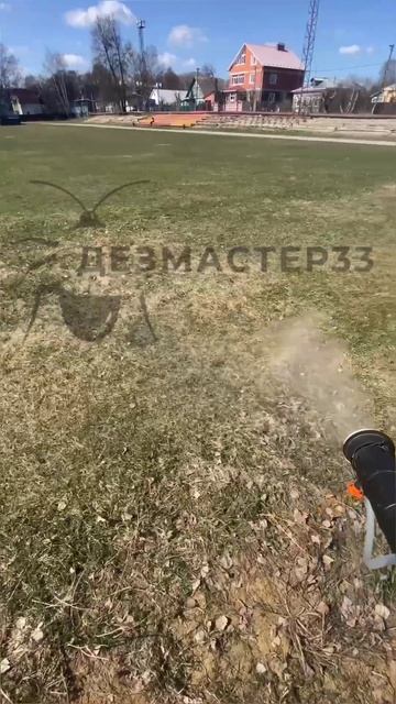 Обработка от клещей