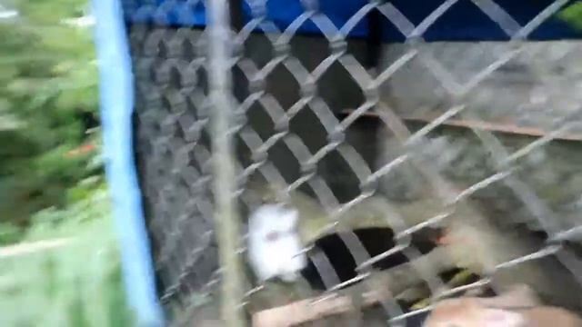 Vlog Wisata Malino (makassar kab. Gowa) смотреть онлайн