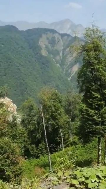 Кто хочет в Азербайджан смотреть онлайн