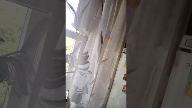 Но только в полете мотор отказал смотреть онлайн