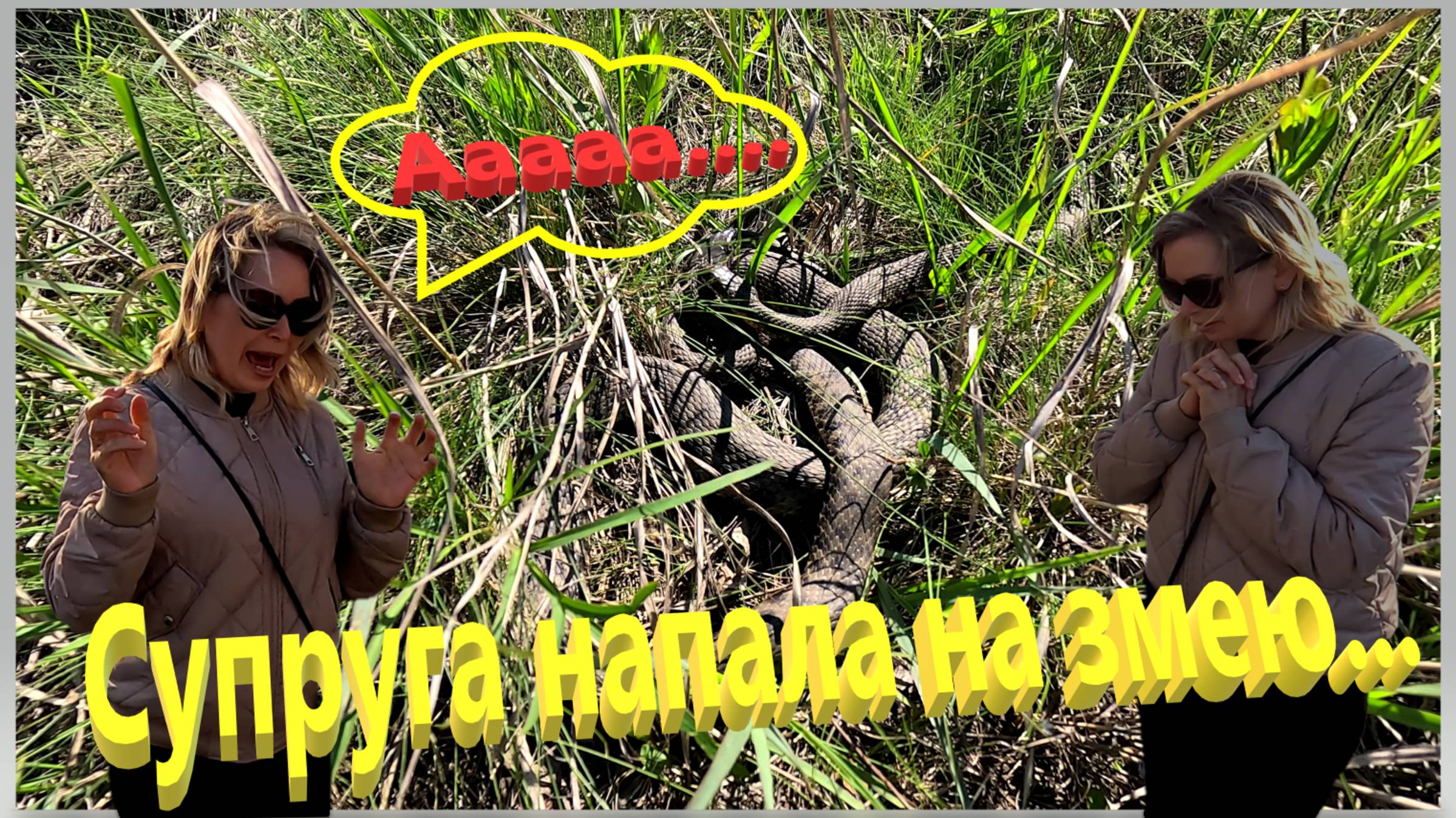 Супруга напала на змею. Крутые берега Ейского лимана. Ейск. смотреть онлайн