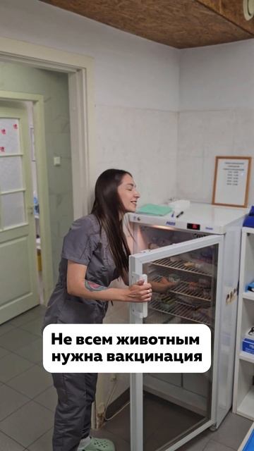 Нужно ли вакцинировать кота #ветеринар #собака #юмор #животные #кошка #советы #доктор #котик смотреть онлайн