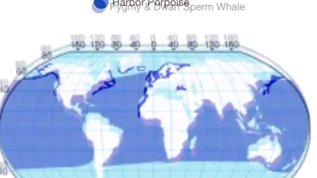 Cetaceans Evolution смотреть онлайн