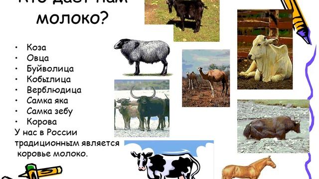 молоко и его свойства смотреть онлайн
