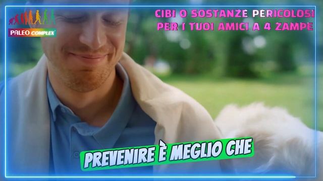 🟢HAI UN CANE? ➡️ALLORA ASCOLTA ATTENTAMENTE смотреть онлайн