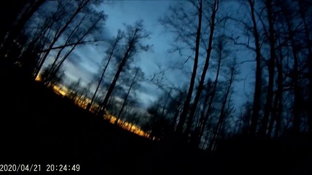 вальдшнеп смотреть онлайн