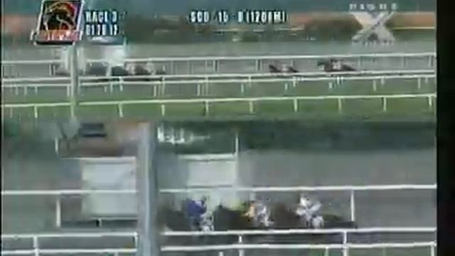 MHP SAP SC JAN. 28, 2012 RACE 3 TIGEROUS QUEEN.mpg смотреть онлайн