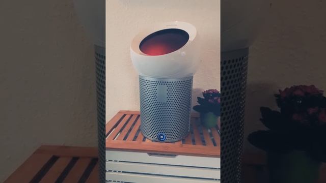 dyson pure cool me BP01 live смотреть онлайн