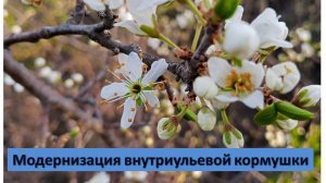 Модернизация внутриульевой кормушки