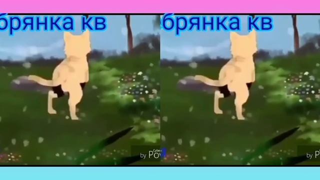 Клип: Покинула чат (Коты воители ) смотреть онлайн