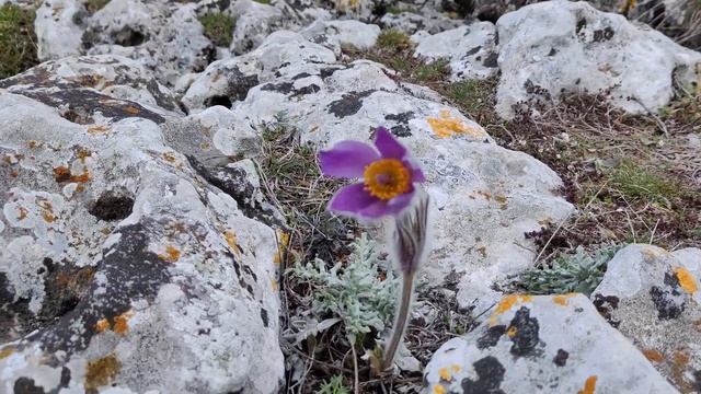 Обзор с мыса Элли-Бурун,второй мыс Мангупа. смотреть онлайн